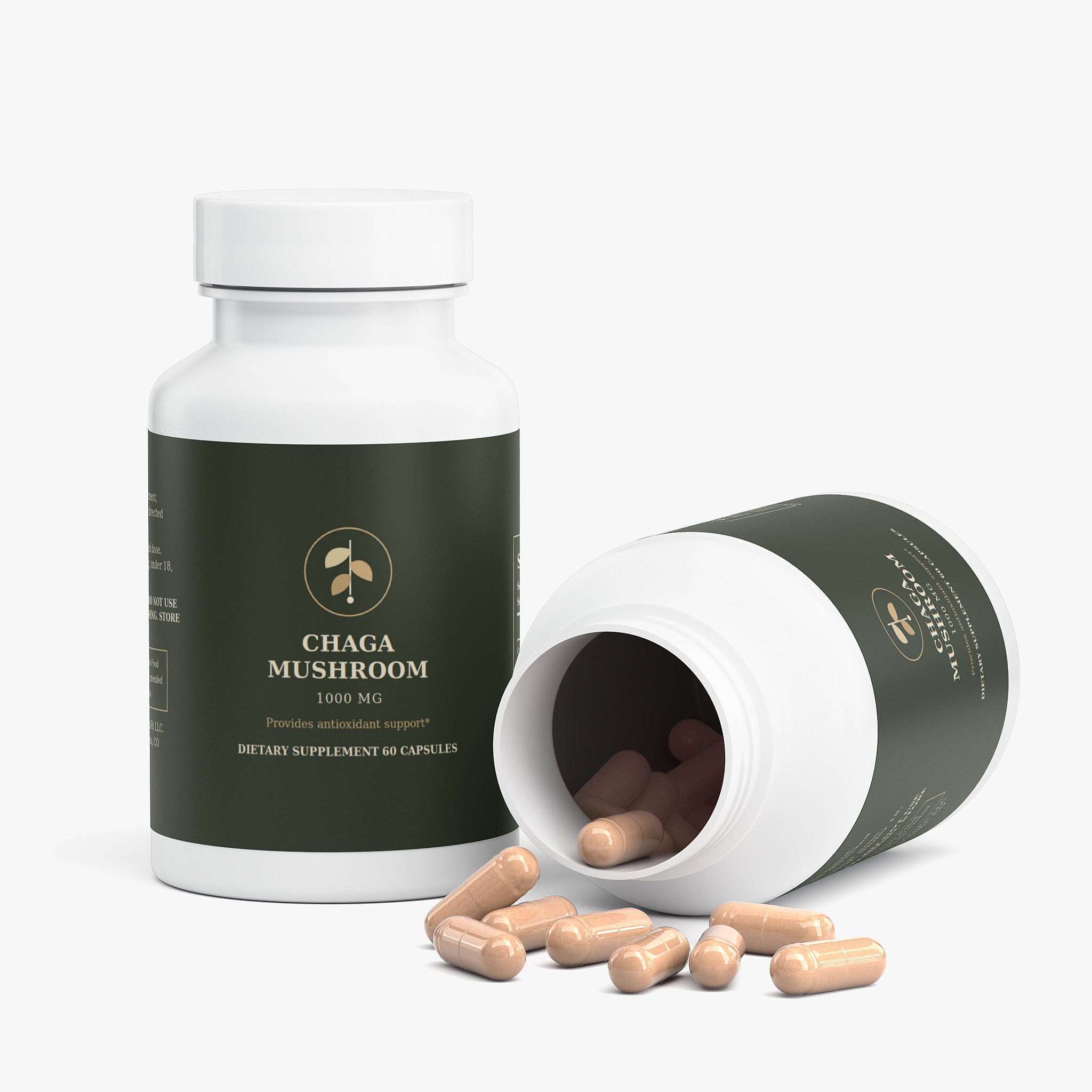 Chaga Mushroom